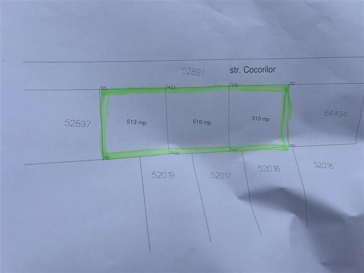 RECO Imobiliare teren Sanmartin - 5