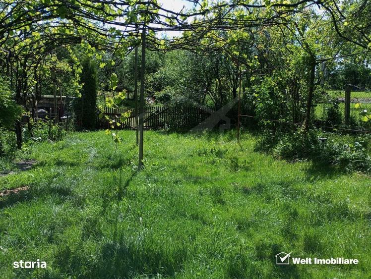 Casa cu teren 3320mp sat Dumbrava Capusu Mare - 3