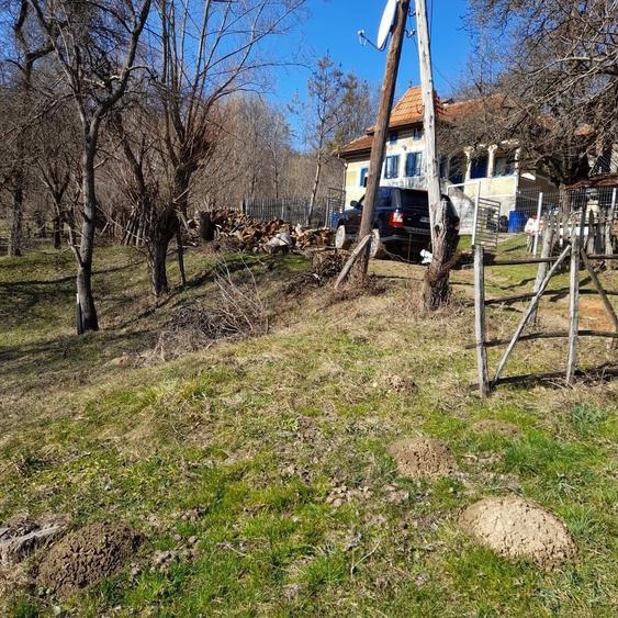VAND CASA BATRANEASCA, 3,1 HA IN JURUL CASEI, COM.CETATENI - 2