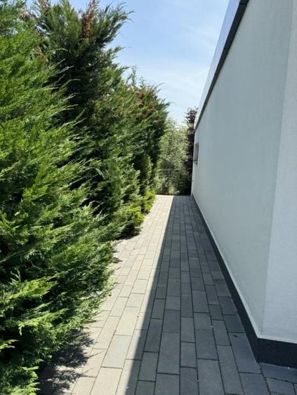 Casa Individuala De Inchiriat, Piscina, 225mp, Zona Teilor - 9