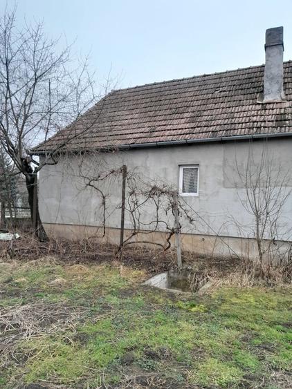 Vand casa in Brancovenesti - 3