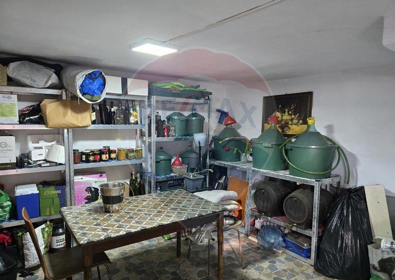 Casa / Vila cu 5 camere de vanzare in zona George Enescu - 10