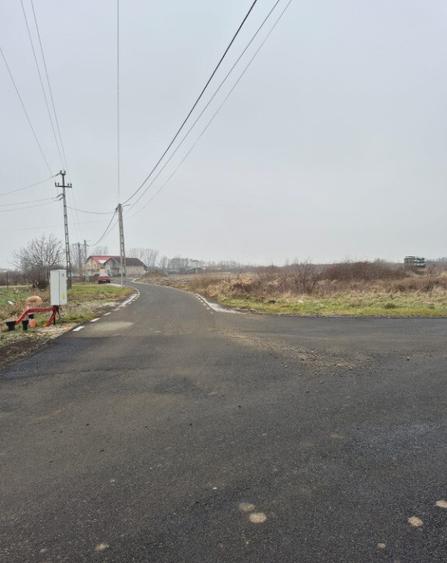 Seini, str. Tineretului, 60 ari teren - 1