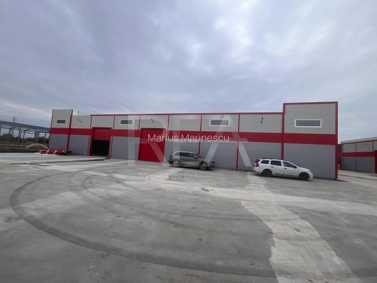 Inchiriere hala 300 mp Jilava