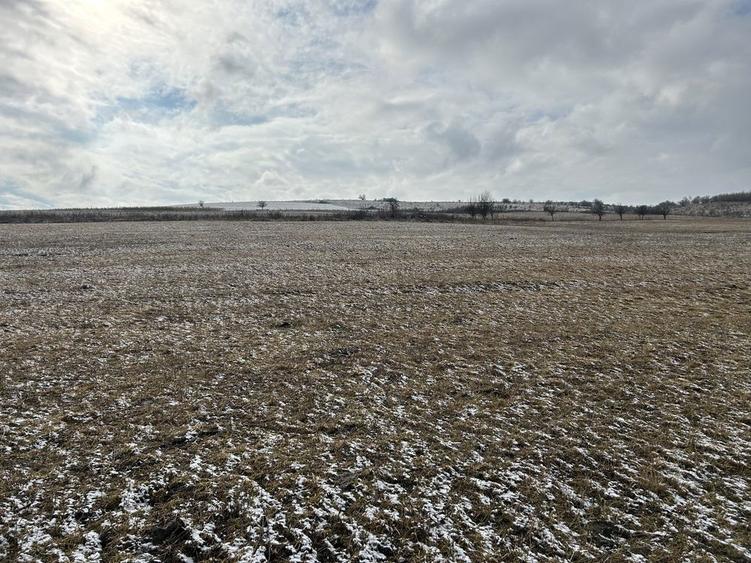 Teren de vanzare Nimigea de Jos, Taure - 5