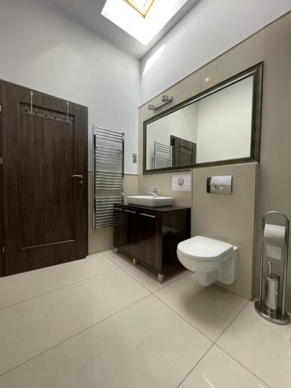 Inchiriere spatiu in cladire birouri pe Rubin Patitia - 8