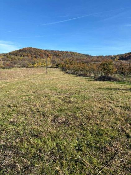 Teren intravilan 5140mp - 6