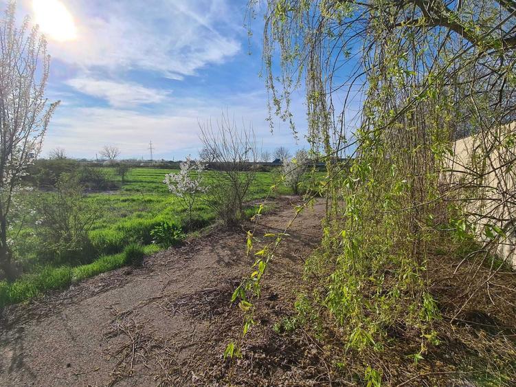 Teren intravilan - loc de casa Mihailesti - 6