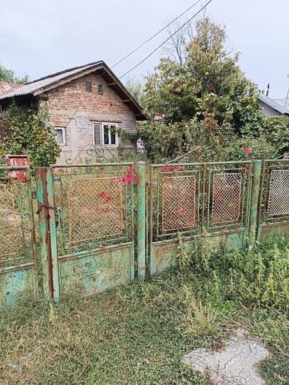 Potigrafu, Crivina - 5