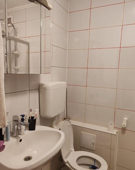 Inchiriere apartament 2 camere Drumul Taberii - 5