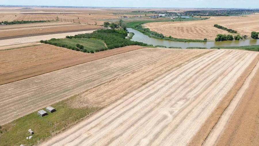 teren la lac Frumusani - 10