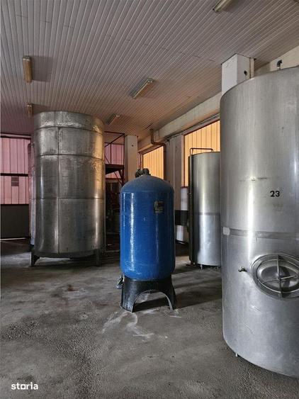 Proprietate Industriala - Productie - Industrie Alimentara - 10