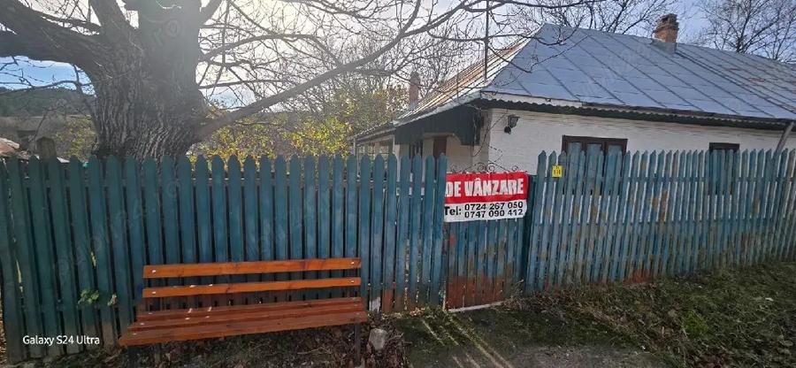 Casa de vacanta la VANZARE - 3