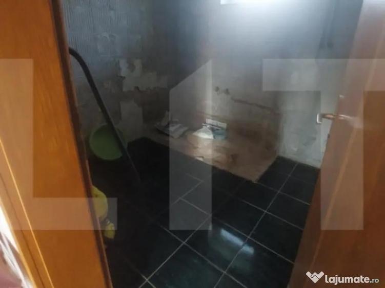 Blitz va ofera spre vanzare casa in Vladimirescu - 7