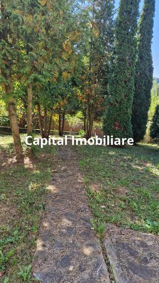 Vila spa?ioasa 5 dormitoare, Provita de Jos - 3