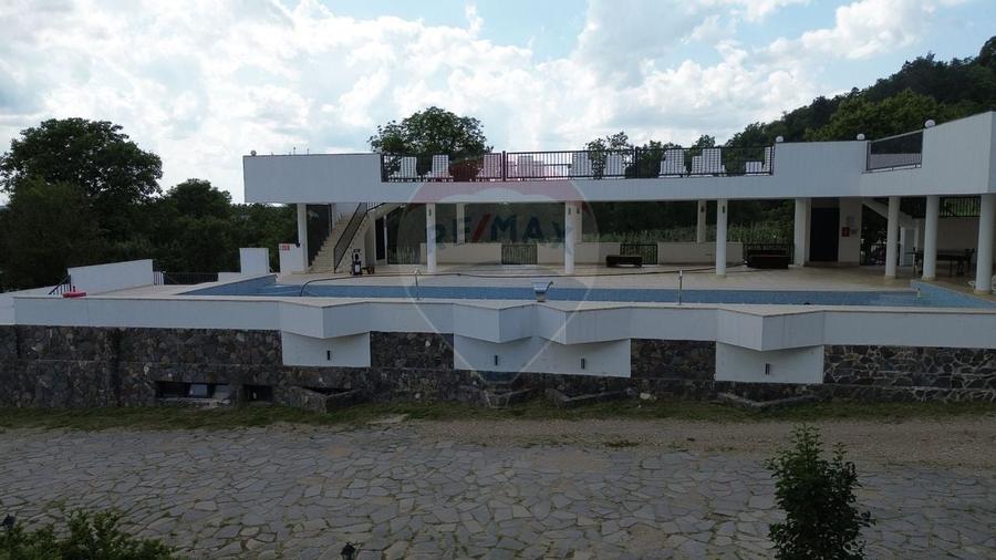 DE VANZARE Pensiune cu piscina, pastravarie, zona spa locatie de vis - 5