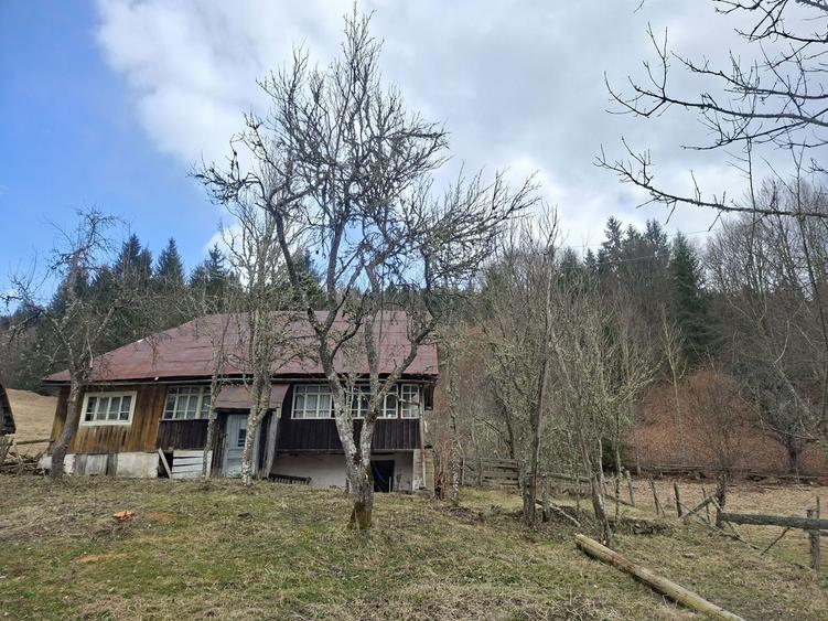 Casa de vanzare in Bucium (Alba) cu teren generos, apr - 6
