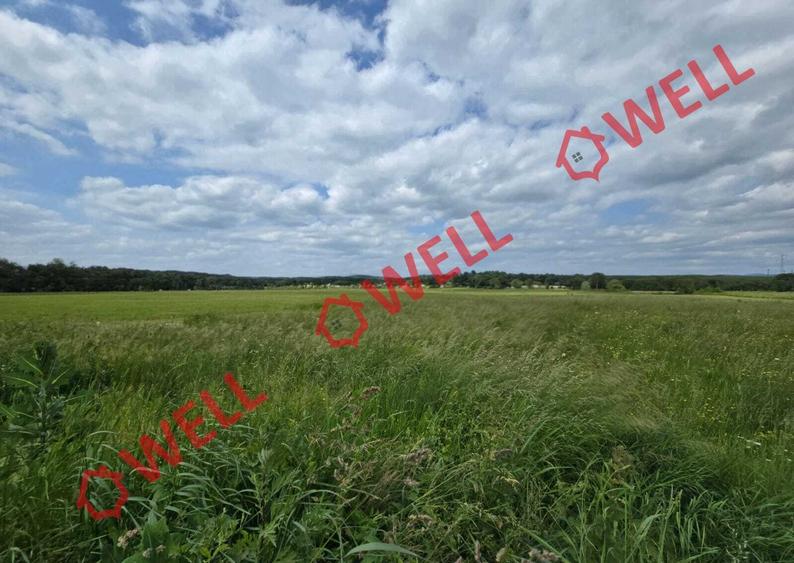 De vânzare teren extravilan în  loc. Sărămaș, com. Barcani! - 4