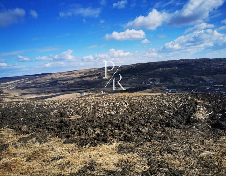 Teren extravilan, 4940 mp, zona Dealul Fanatelor! - 5