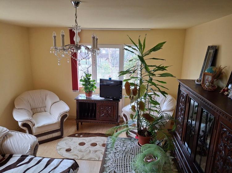 Vila P+1  Ploiesti - Paulestii Noi - 7