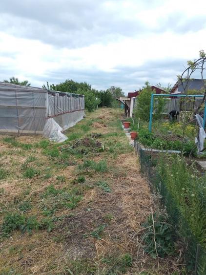 Casa de vanzare in Garbovi, jud. Ialomita - la doar 70 km de Bucuresti! - 7