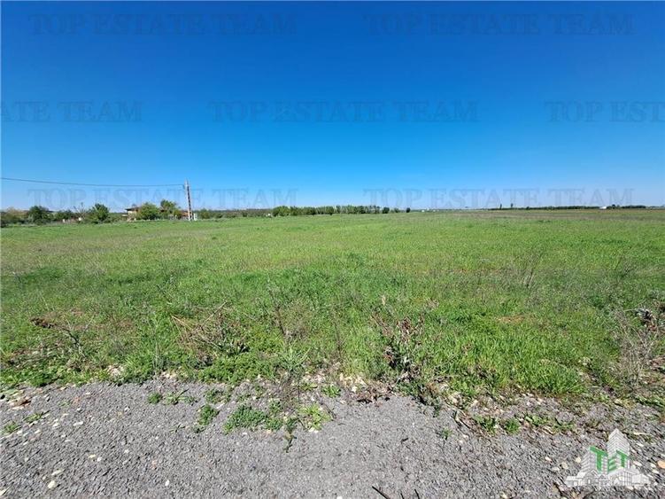 Loturi teren de vanzare Branesti/Vadu Anei - 12