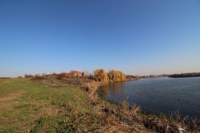 Teren dezvoltare 4763 pe malul Lacului Mogosoaia deschidere 40 metri - 2