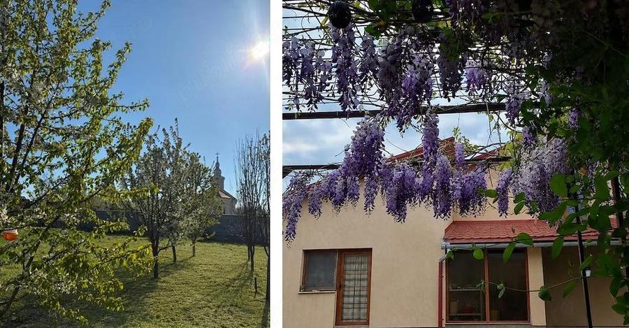 Casa individuala cu teren generos Costeiu, jud. Timi? - 10