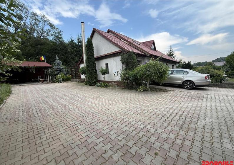 Casa deosebita in sat Podis - zona Dubas - 12