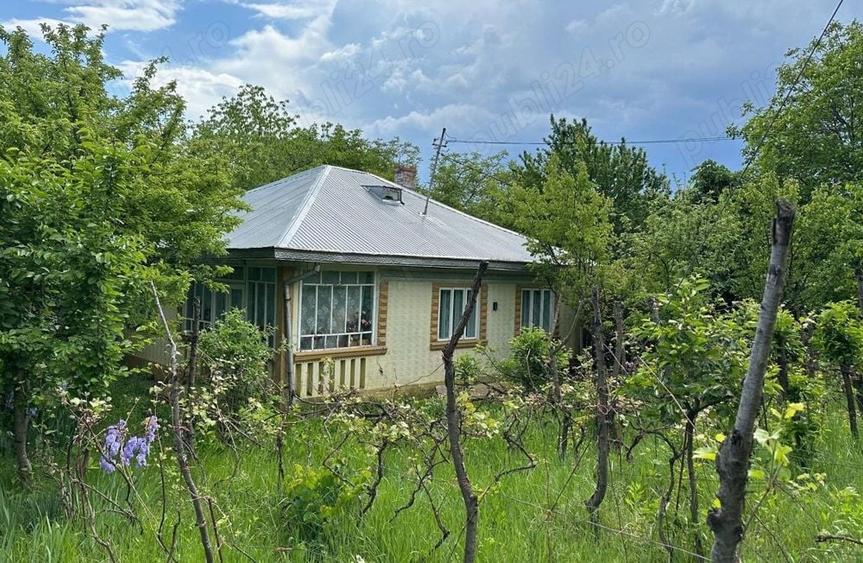 Casă cu 5 camere cu Teren 5000 Mp în Central