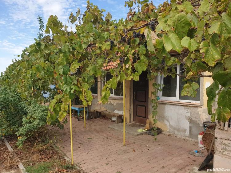Vand casa si teren in sat Herneacova - 1