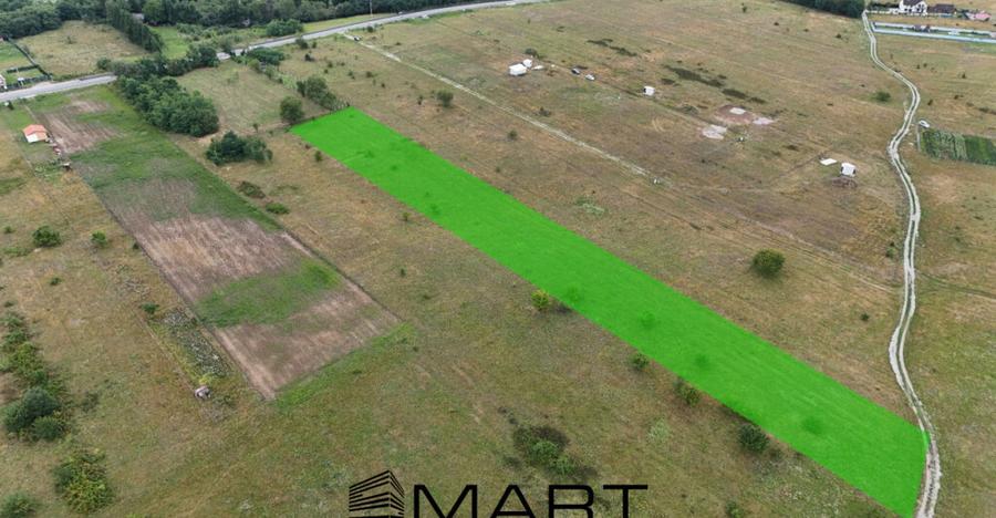 Teren intravilan 5000mp Valea Avrigului - 2