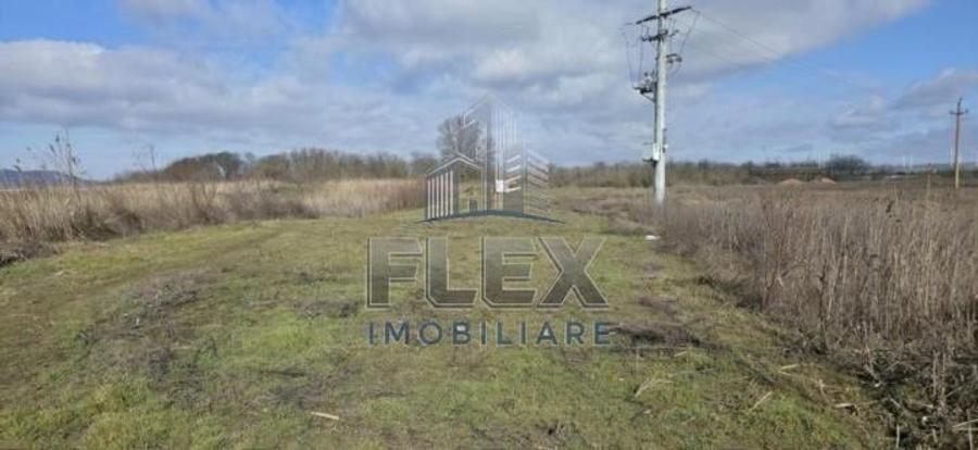 Vanzare Teren Delta Dunarii 3.83 Ha - Oportunitate - 8