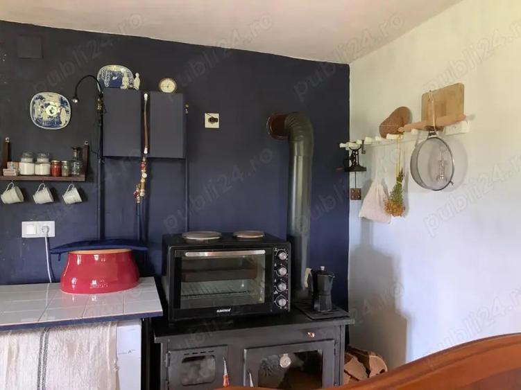 Investi?ie in natura > 2 case restaurate cu poten?ial de inchiriere si teren de 20.000 mp - 9