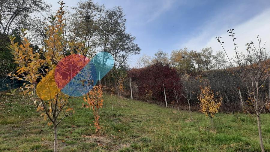 Casă, 1553 mp teren, zona linistita, sat Cara - 12