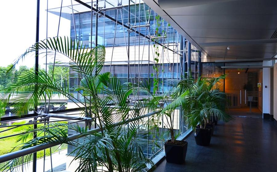 De inchiriat spatiu de birouri Baneasa Comision 0% - 9