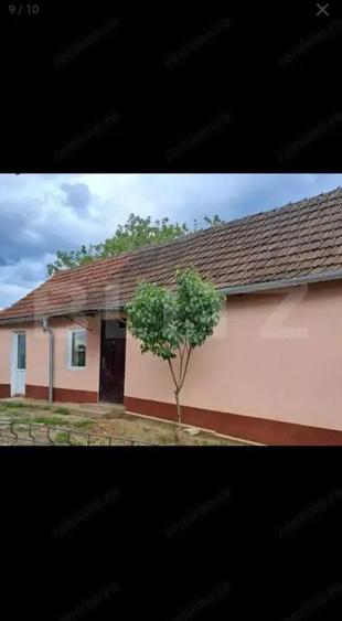 Doua case intr-o curte de 952 mp, Paleu-liniste, spatiu, potential langa Oradea - 5