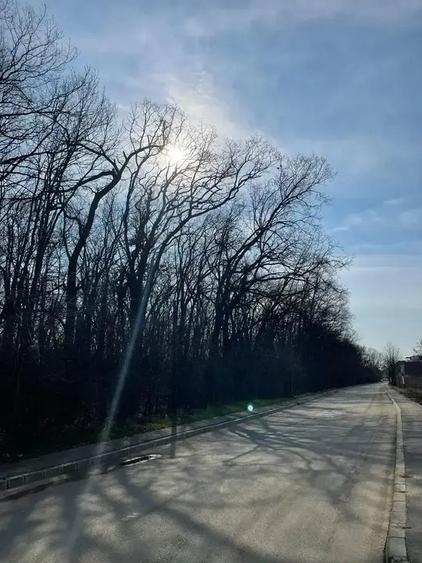 Apartament High End 4 Camere  | Pret Corect |  Padurea Baneasa - 16