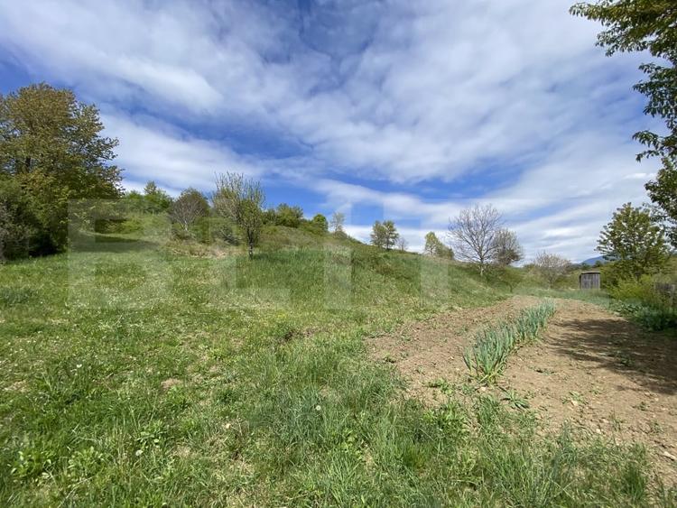 Teren Construcții intravilan de 2520 mp, în Livezile