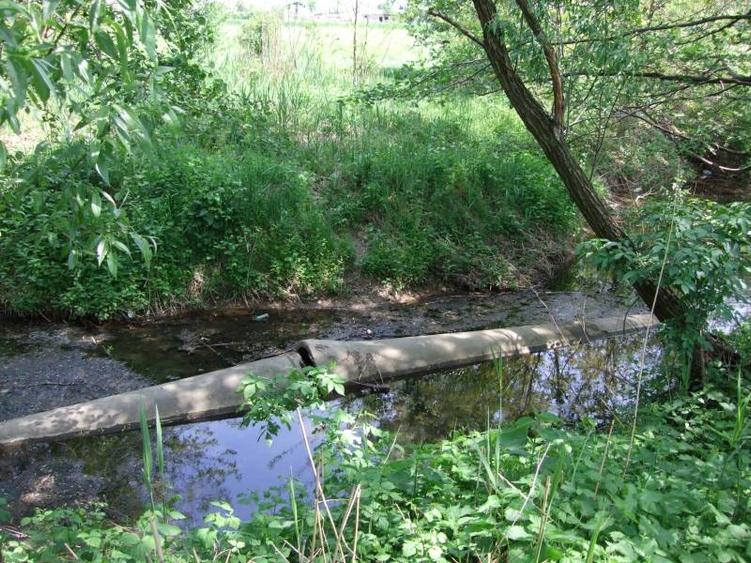Casă cu 12 camere cu Teren 18000 Mp în Potlogi