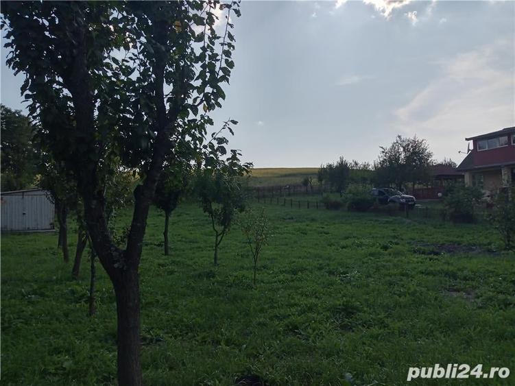 Teren de 11600 mp, în Câmpenești