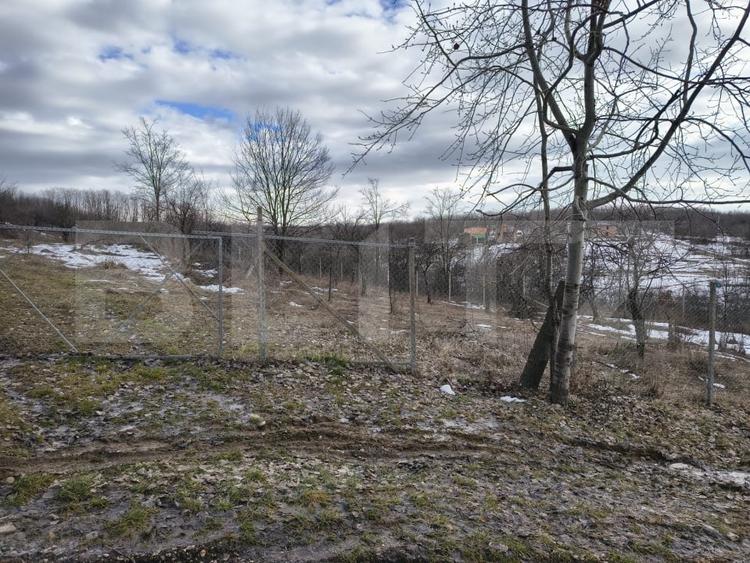 Teren Construcții intravilan de 10000 mp, în Păulești