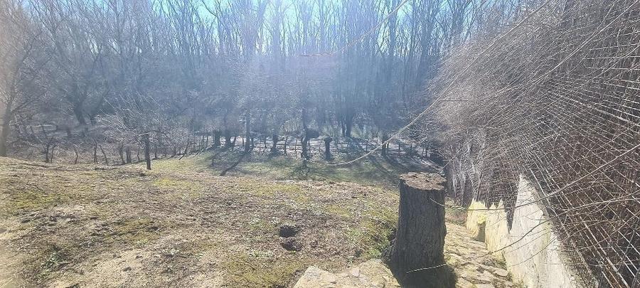 Teren intravilan de vanzare .Pozi?ie ultra ! - 5