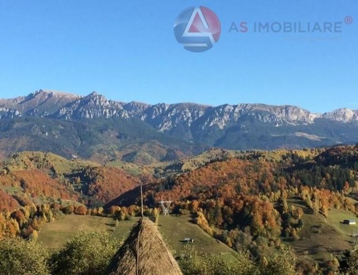 Teren intravilan de 10669 mp, în Moieciu de Jos