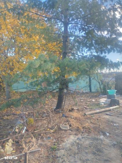 Casa de vanzare in Cenad aproape de ie?irea spre Ungaria- 739 - 3