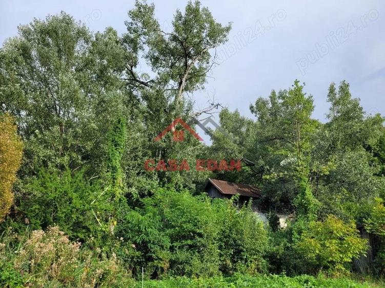 Teren intravilan in Telega--17.131 mp--180.000e - 2