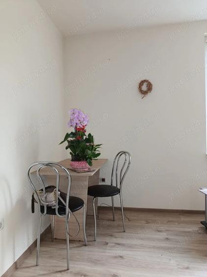 Inchiriere garsoniera, Centru, Balcescu, Sorin Titel - 5