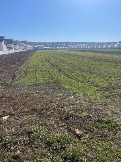 Teren intravilan Scheia - 3