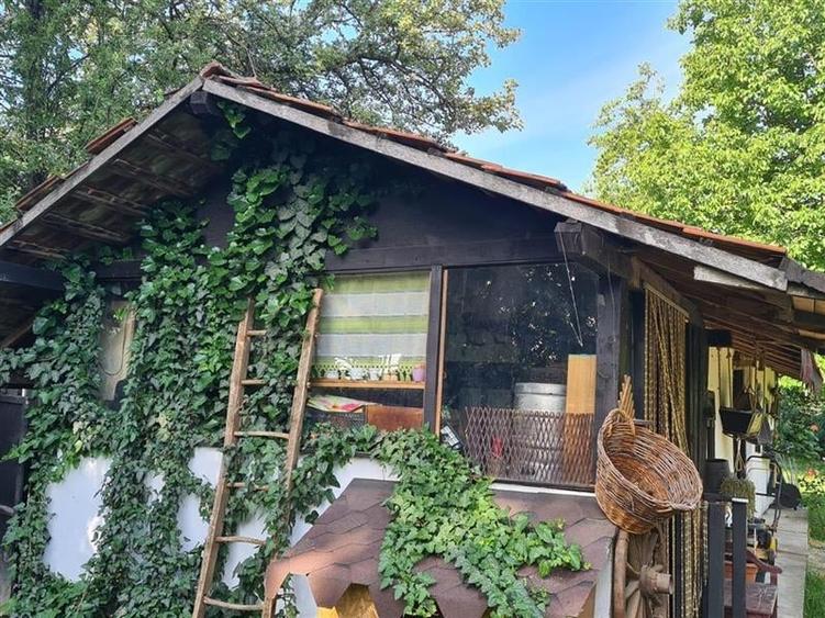 Casa cu Teren Buciumi 7  km de Onesti cu teren 1800 mp - 10