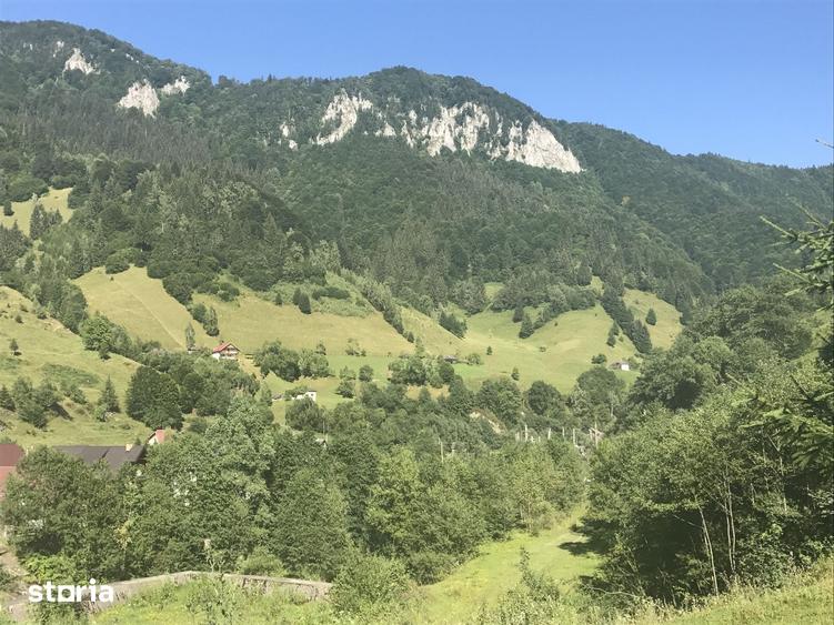 Teren de 2694 mp, în Rucăr